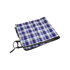 Коврик KingCamp Picnic Blanket (KG3710P) ц:blue checkers