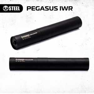 Глушитель STEEL Pegasus IVR